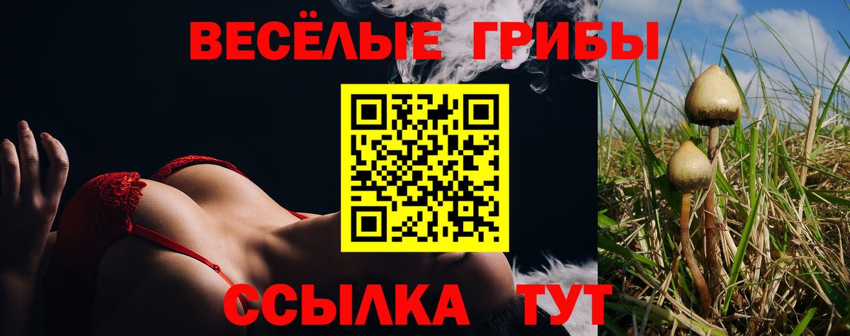 Галлюциногенные грибы мицелий Кимовск