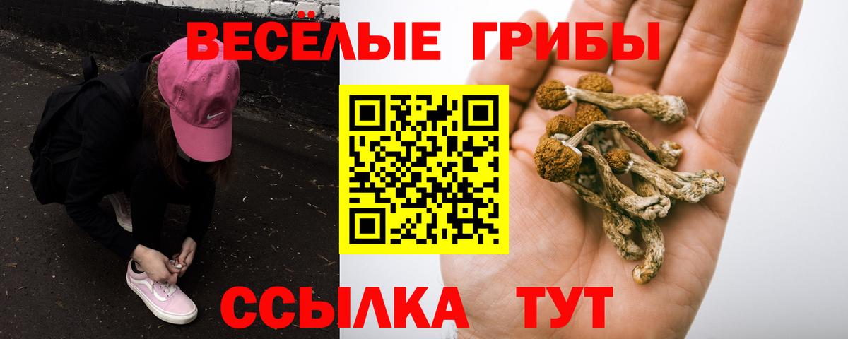 Кимовск  Галлюциногенные грибы Cubensis  Вход с VPN 